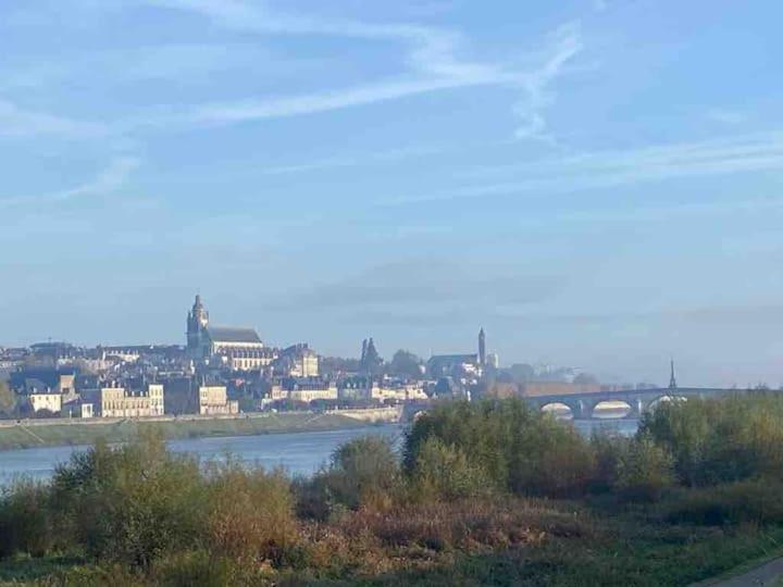 Ferienwohnung Esprit Hygge A Blois : Un Interieur Bien-Etre Exterior foto